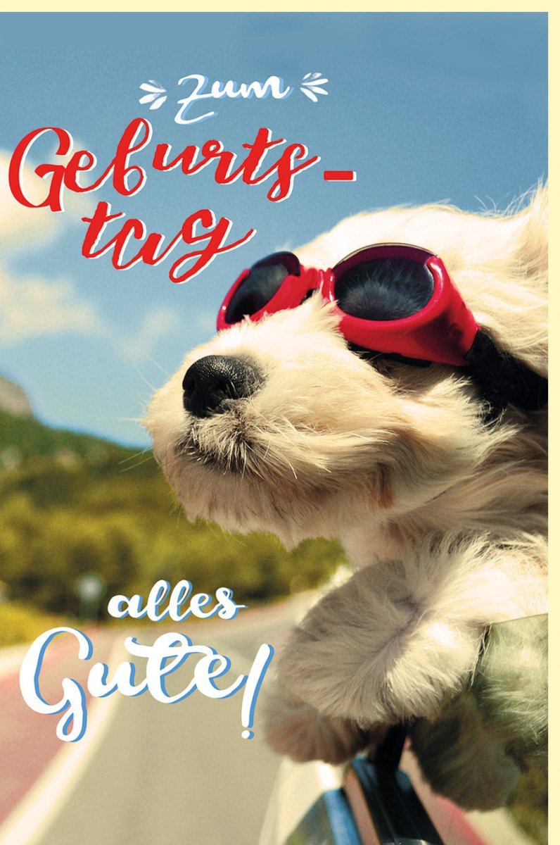 Geburtstagskarte: Humorvolle Hund mit Taucherbrille - Tierliebe Grüße in Gelb - Rot für Sommer - Partys