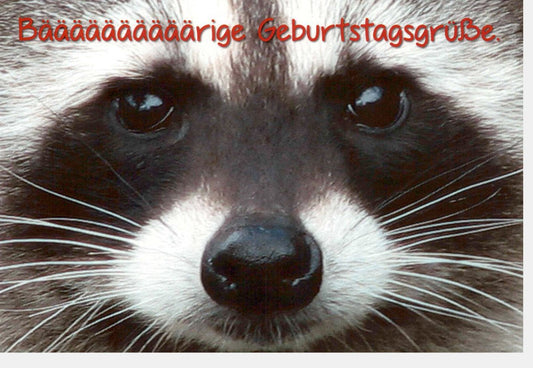 Geburtstagskarte - Humorvoller Waschbär, Tierisches Motiv, Witzige Glückwünsche voller Spaß