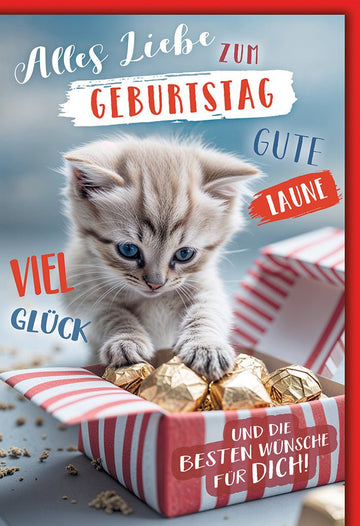 Geburtstagskarte Katzenliebhaber – Kätzchen mit Pralinen und fröhlichen Wünschen