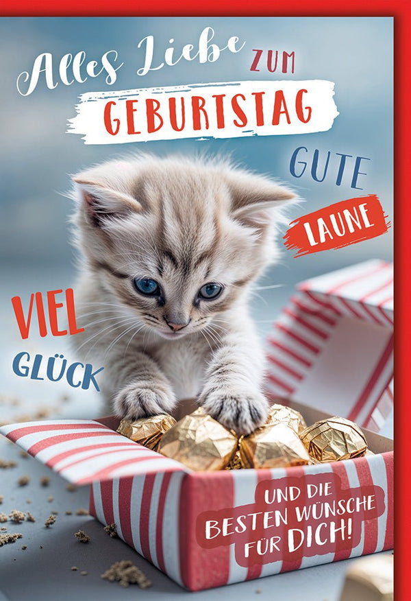 Geburtstagskarte Katzenliebhaber – Kätzchen mit Pralinen und fröhlichen Wünschen