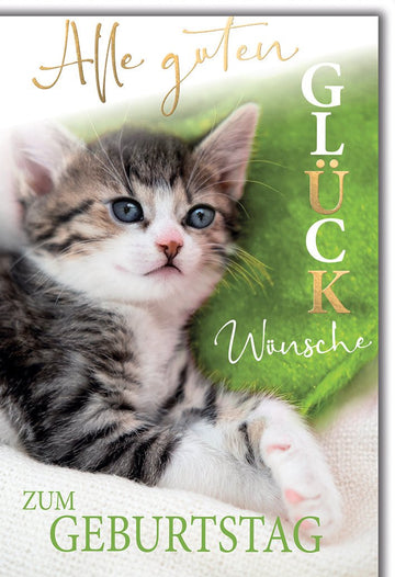 Geburtstagskarte Katzenliebhaber – Niedliches Kätzchen auf grünem Kissen mit Goldschrift