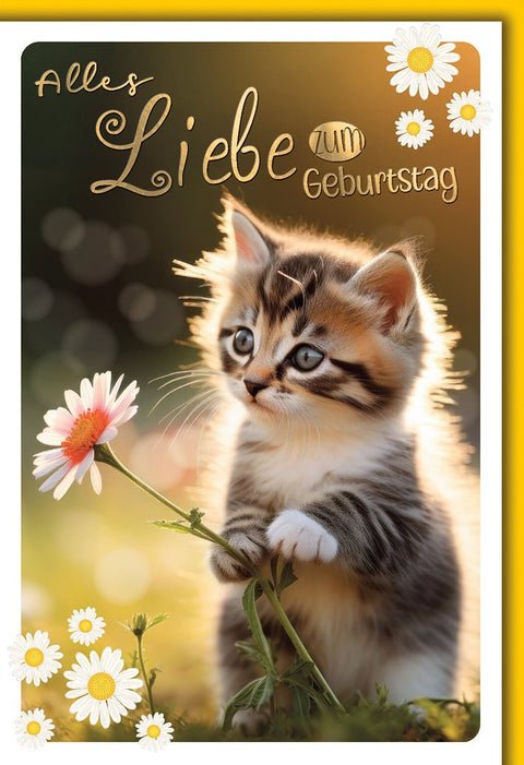 Geburtstagskarte Kinder – Niedliches Kätzchen mit Gänseblümchen im Sonnenlicht
