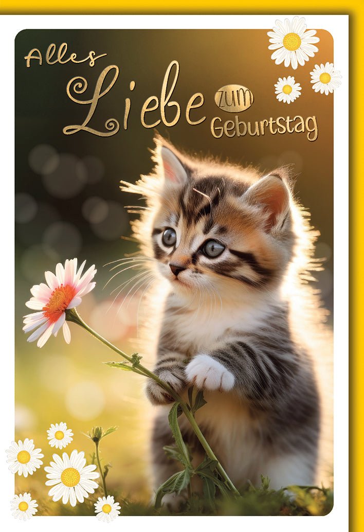 Geburtstagskarte Kinder – Niedliches Kätzchen mit Gänseblümchen im Sonnenlicht