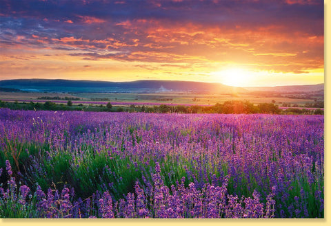 Geburtstagskarte Lavendelfeld Provence – Naturfotografie, Blanko für jeden Anlass, Lila Himmel bei Sonnenuntergang, Ideal für Naturliebhaber