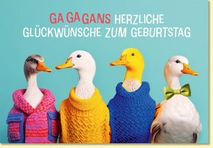 Geburtstagskarte lustig Gänse mit Pullover und Fliege witzige Doppelkarte bunte Grußkarte originelle Glückwünsche zum Geburtstag