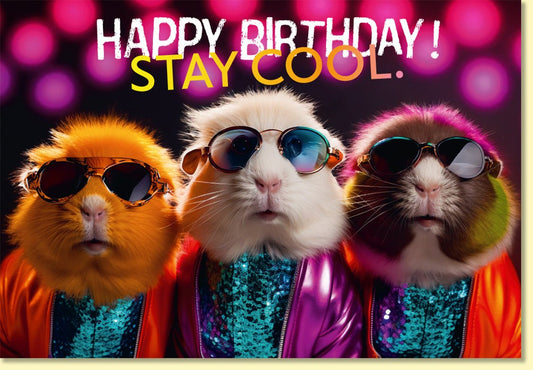 Geburtstagskarte lustig mit coolen Meerschweinchen in Sonnenbrillen und Glitzerjacken Happy Birthday Stay Cool witzige Doppelkarte