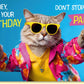 Geburtstagskarte lustig mit cooler Katze in Sonnenbrille und bunter Jacke witzige Doppelkarte zum Geburtstag für Partystimmung