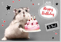 Geburtstagskarte lustig mit Hamster und Geburtstagskuchen süße Doppelkarte Happy Birthday Karte witzige Tiermotiv Grußkarte für Kinder und Erwachsene