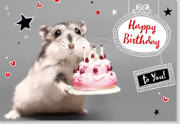 Geburtstagskarte lustig mit Hamster und Geburtstagskuchen süße Doppelkarte Happy Birthday Karte witzige Tiermotiv Grußkarte für Kinder und Erwachsene