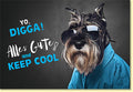 Geburtstagskarte lustig mit Hund im Hemd und Sonnenbrille coolem Spruch Yo Digga Alles Gute and Keep Cool witzige Doppelkarte