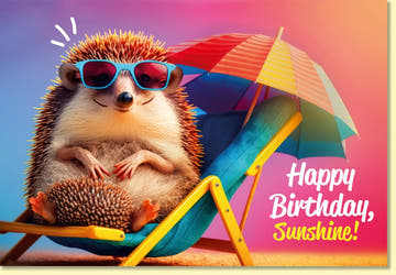 Geburtstagskarte lustig mit Igel im Liegestuhl und Sonnenbrille bunte Doppelkarte Happy Birthday Sunshine witzige Geburtstagsgrüße