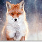 Geburtstagskarte mit Fuchs - Motiv: Stimmungsvolle Grußkarte für Tierliebhaber, Waldtiere im Schneefall, Perfekte Geschenkidee, Blankokarten
