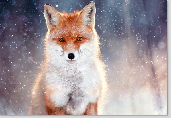 Geburtstagskarte mit Fuchs-Motiv: Stimmungsvolle Grußkarte für Tierliebhaber, Waldtiere im Schneefall, Perfekte Geschenkidee, Blankokarten
