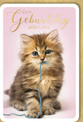 Geburtstagskarte mit Kätzchen-Motiv: Herzliche Katzen-Gratulation für Tierliebhaber