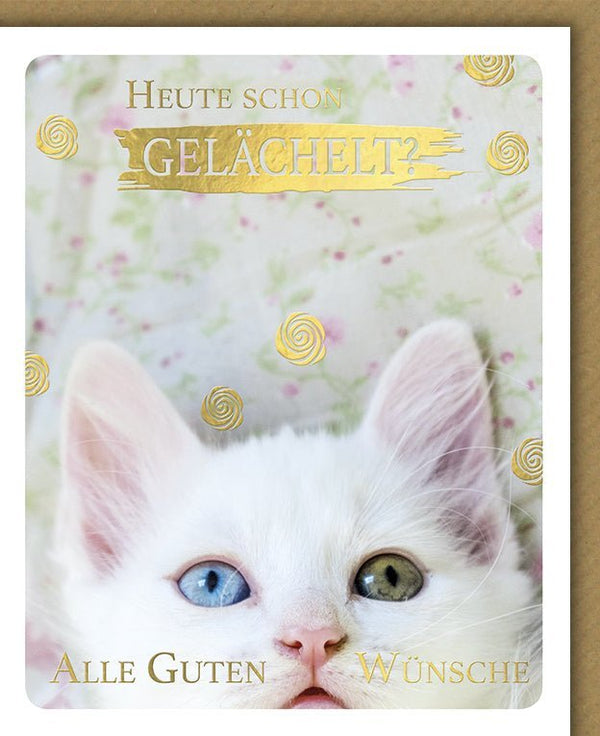Geburtstagskarte mit Katze - Humorvolle Glückwünsche, Tiermotiv für besondere Gratulationen