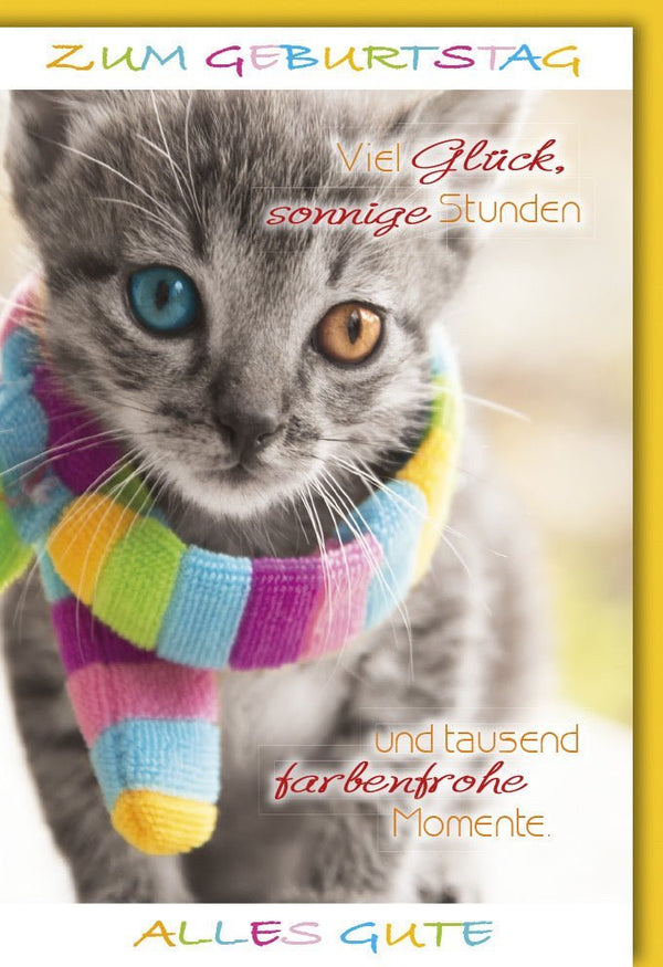 Geburtstagskarte mit niedlichem Katzen-Motiv - Farbenfrohe Karte für Tierliebhaber und liebevolle Geburtstagsgrüße