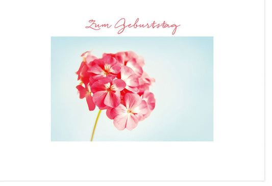 Geburtstagskarte mit Rosa Geranien - Elegantes Blumenmotiv, Schlichte Fotografie, Perfekt für Feierlichkeiten