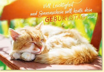Geburtstagskarte mit schlafender Katze auf Holzbank im Sonnenschein liebevoller Spruch Glückwunschkarte zum Geburtstag