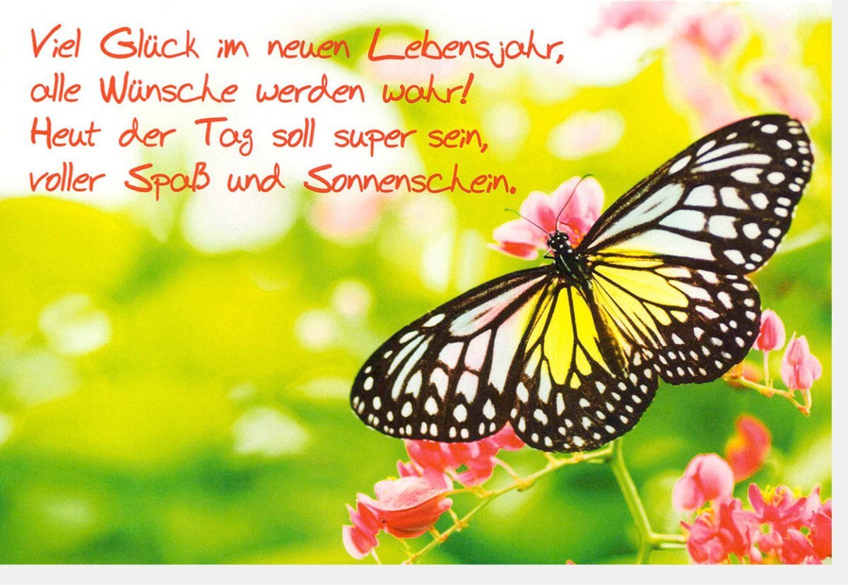 Geburtstagskarte mit Schmetterlingsmotiv – Bunte Glückwünsche voller Lebensfreude und Natur für eine persönliche Gratulation
