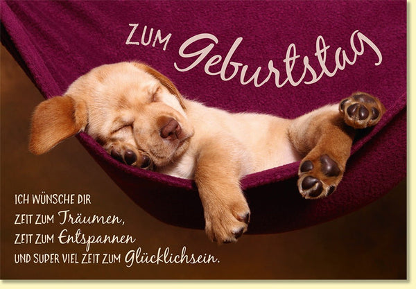 Geburtstagskarte mit süßem schlafenden Hund in Hängematte und liebevollem Spruch für entspannte Glückwünsche zum Geburtstag