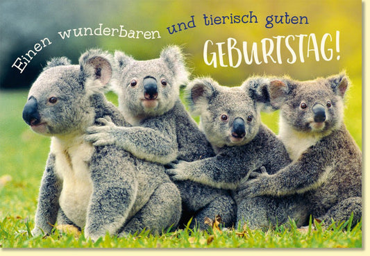 Geburtstagskarte mit süßen Koalas und tierisch guten Wünschen Doppelkarte für Kinder und Erwachsene farbenfrohe Glückwunschkarte Geburtstag