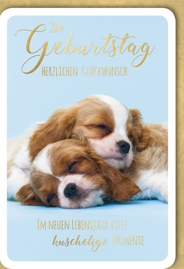 Geburtstagskarte mit Welpen: 