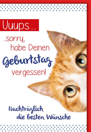 Geburtstagskarte Nachträglich: Humorvolle Katzenkarte zur Entschuldigung für verspätete Glückwünsche