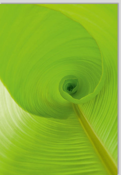 Geburtstagskarte ohne Text - Blanko mit Blumen & Natur, Frühlings - /Sommerdesign, Kunstfotografie Papeterie