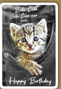 Geburtstagskarte süßes Katzenmotiv Bella Ciao lustige Doppelkarte mit Kätzchen im Jeanshemd originelle Glückwunschkarte Geburtstag