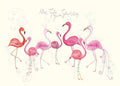 Geburtstagspostkarte Flamingos - Herzliche Glückwünsche für einen besonderen Tag