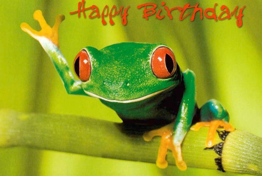 Geburtstagspostkarte: Fröhlicher Frosch - Alles Gute zum Geburtstag!