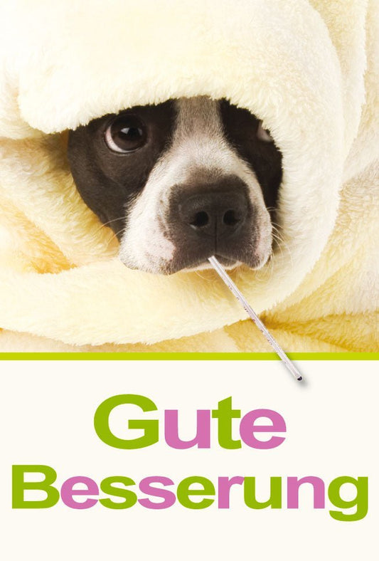 Genesungskarte für Hundebesitzer: Herzliche Besserungswünsche und Trost, Gelbe Karte zur Unterstützung bei krankem Haustier, Mitgefühl & Erholung