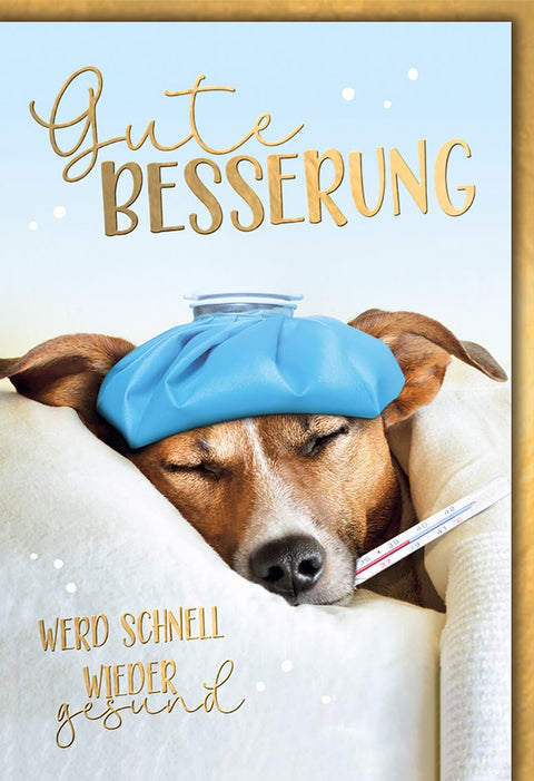 Genesungskarte Hund – Schlafender Hund mit Thermometer und Eisbeutel in Humorvollem Stil