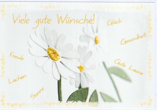 Genesungskarte mit Margeriten und vielen guten Wünschen für Gesundheit Glück Freude Sonne Lachen und gute Laune liebevoll gestaltet