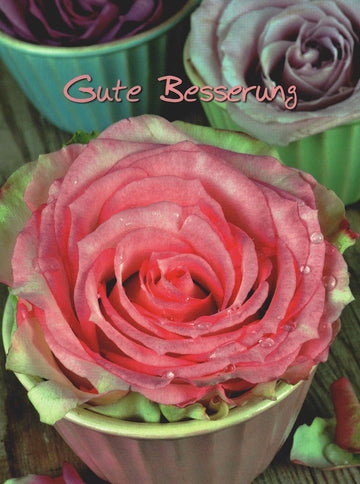 Genesungskarte mit Rosenmotiv Gute Besserung Postkarte Lebensweisheiten Aufmunterung florales Design hochwertige Grußkarte