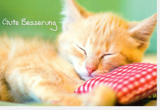 Genesungskarte mit schlafender Katze - Liebevolle Wünsche für Erholung & Wohlbefinden, 210x148mm
