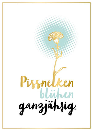 Genesungskarte mit Spruch Pissnelken blühen ganzjährig witzige Postkarte für Freunde Blumenmotiv Mutmacher Grußkarte Genesung