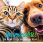 Glückwunschkarte Be yourselfie mit lustigem Katzen und Hund Selfie Motiv für besondere Glückwünsche originelle Doppelkarte