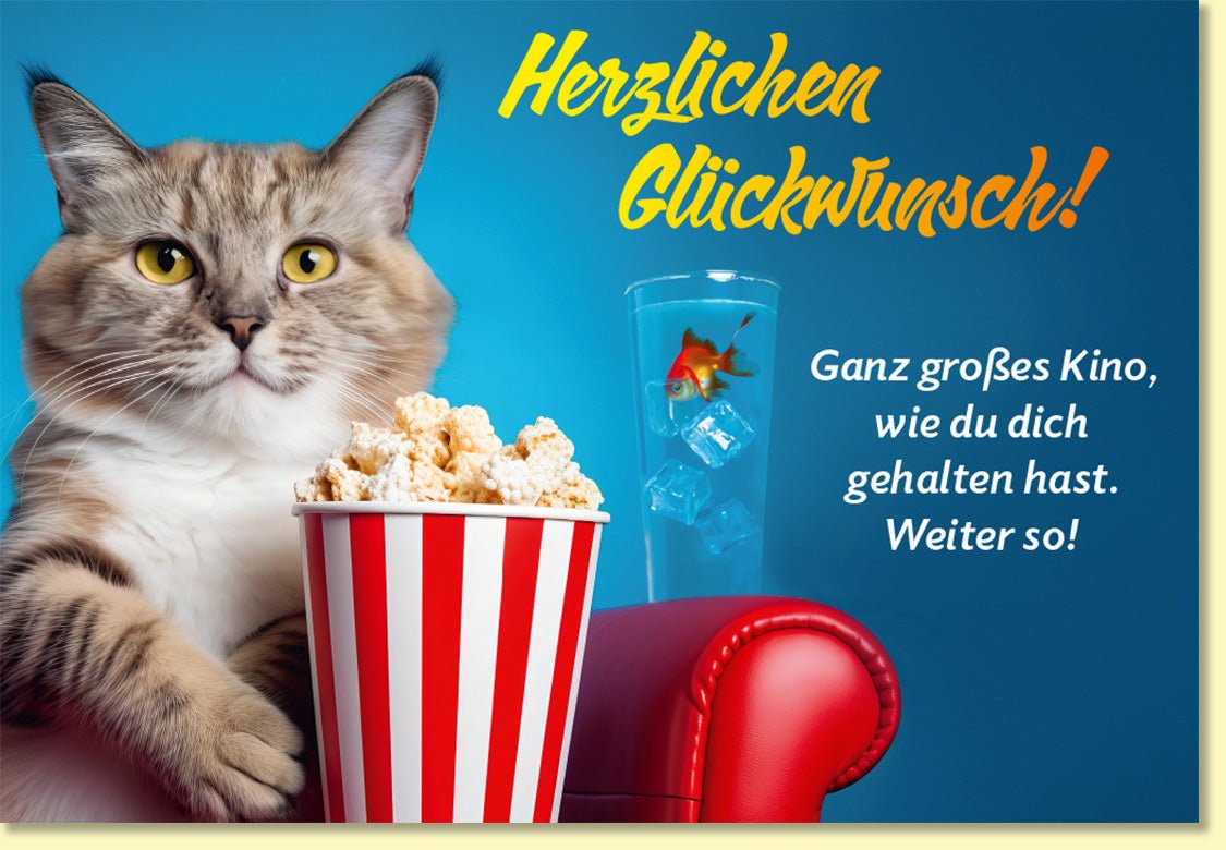Glückwunschkarte Katze mit Popcorn und Goldfisch lustige Doppelkarte für Kino Fans originelle Glückwunschkarten allgemein