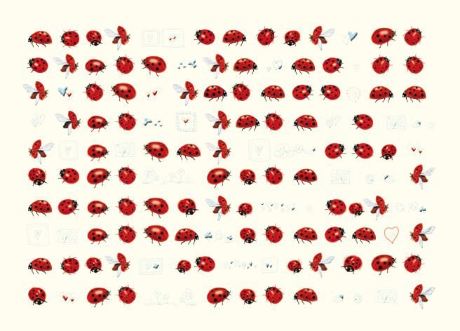 Glückwunschkarte Marienkäfer – Naturinspirierte Karte mit Rot - Schwarzem Käfer, Herz & Schmetterlingen für Liebe und Erfolg, Blankopostkarten