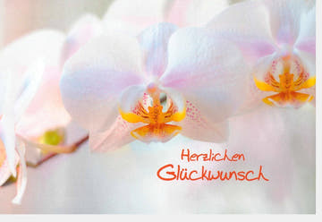Glückwunschkarte mit Blumenmotiv - Herzliche Grüße in Weiß & Orange, Perfekt für Feierlichkeiten - Schreibwaren Geschenk