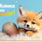 Glückwunschkarte zur Geburt mit Fuchsmotiv Willkommen kleines Wunder süße Babykarte für Mädchen und Jungen hochwertige Doppelkarte
