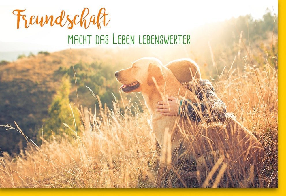 Grußkarte Freundschaft & Liebe - Hund im Sonnenuntergang, Naturmotiv - Herzlich warme Glückwünsche