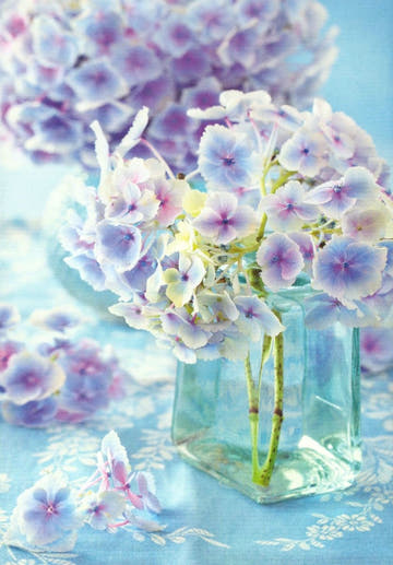 Grußkarte Hortensie - Vintage - Stil in Pastellblau, Natur Floral Fotografie, stilvolles Sammlerstück & Dekoration für Liebhaber blanko Postkarten