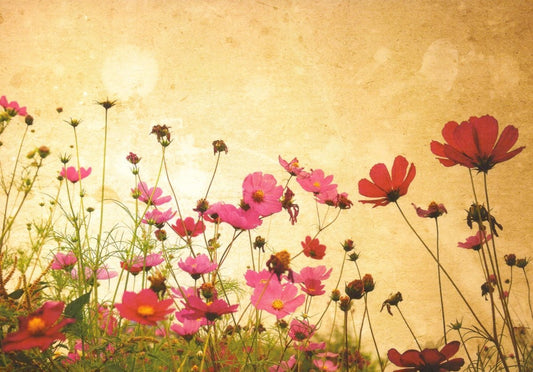 Grußkarte - Vintage Blumen, Romantische Natur für Liebe & Freundschaft, Frühlings - & Sommerdeko, Entspannende Geschenkidee, Blankopostkarten