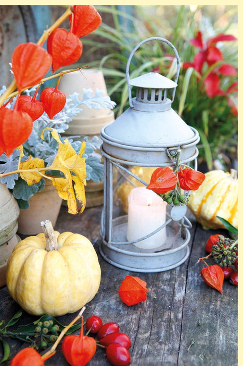 Herbstliche Blankokarte für Erntedankfest & Oktoberfest - Kürbis, Laterne & Hagebutten in Orange - Gelb