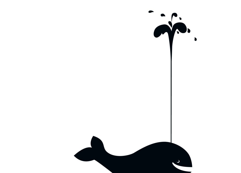 Humorvolle Blankopostkarte Cityproducts mit Wal - Motiv