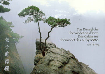 Inspirierende Sprüche Postkarte mit Tao Te King Zitat - Zen Landschaft & Weisheit im Nebel, Asiatische Schriftzeichen für Ruhe und Entspannung