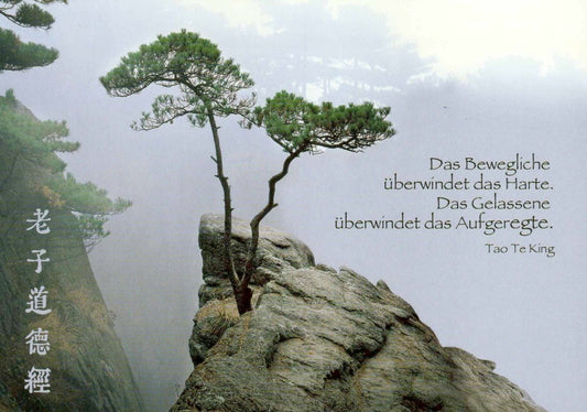 Inspirierende Sprüche Postkarte mit Tao Te King Zitat - Zen Landschaft & Weisheit im Nebel, Asiatische Schriftzeichen für Ruhe und Entspannung
