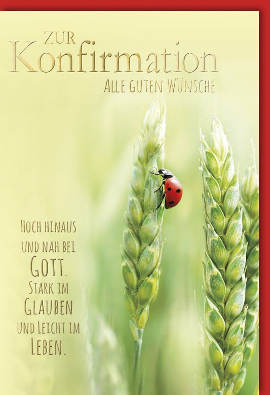 Konfirmationskarte - Segenswünsche zur Firmung mit Marienkäfer & Weizen, Naturtöne für kirchliche Feierlichkeiten